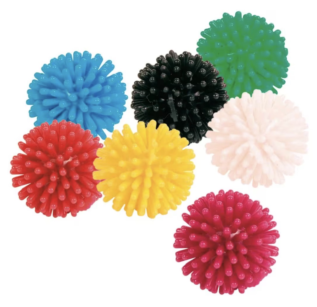 Katteleke Kattepiggsvin