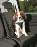 Sikkerhetsele/Sykkelsele Dog Protect 40-55cm 20mm Ekstra Kraftig