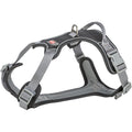 Hundesele Premium Active 1996401 M-L 60-75cm/25mm