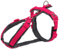 Hundesele Trekking M/L 62-74cmx25mm Fuchsia/Grafitt grå