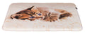Katteteppe Tilly Plysj Beige 50x40cm