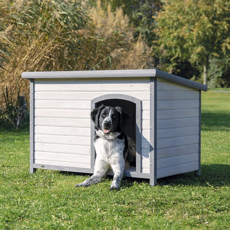 Hundehus Classic i Tre M/Flatt Tak L 116x82x79cm Grå