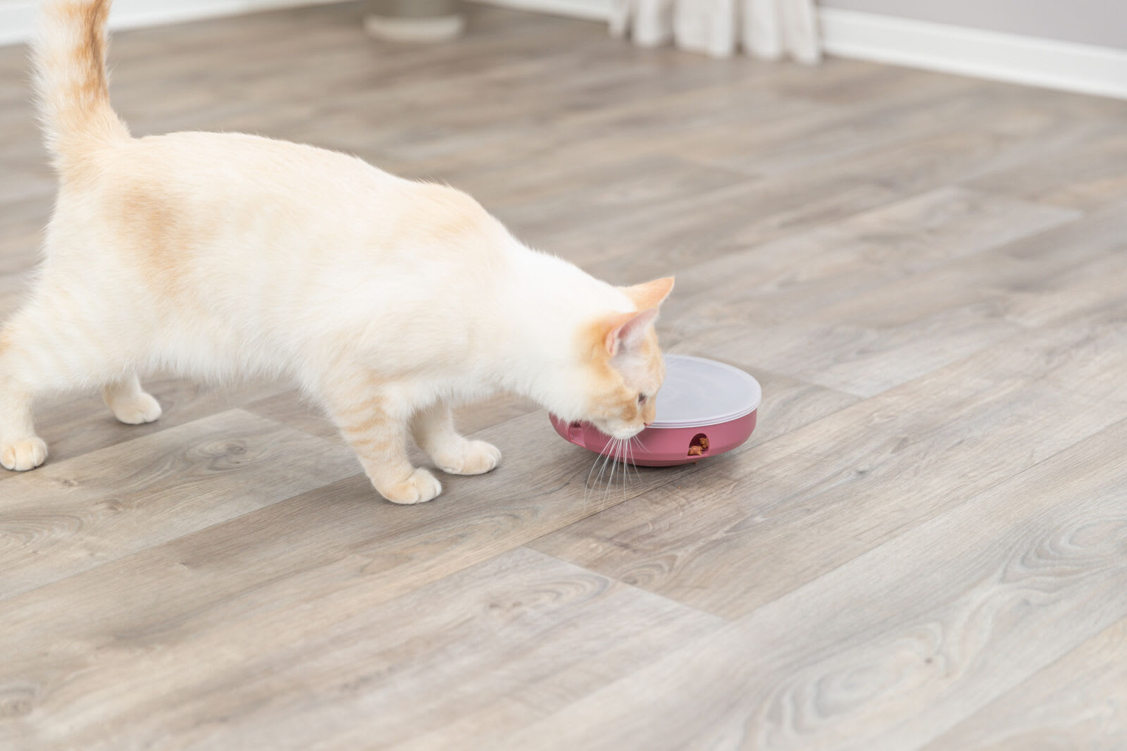 Katteleke Cat Activity Rocking Maze Ø:18cm