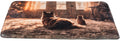 Julematte Hund & Katt Xmas 50x40cm