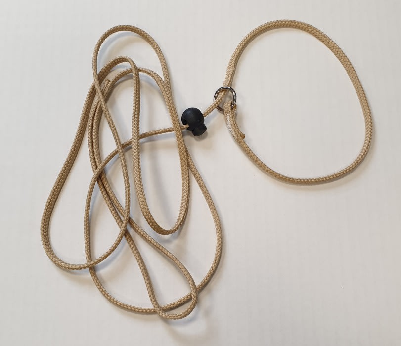 Alac Utstillingsbånd 190cm 6mm 