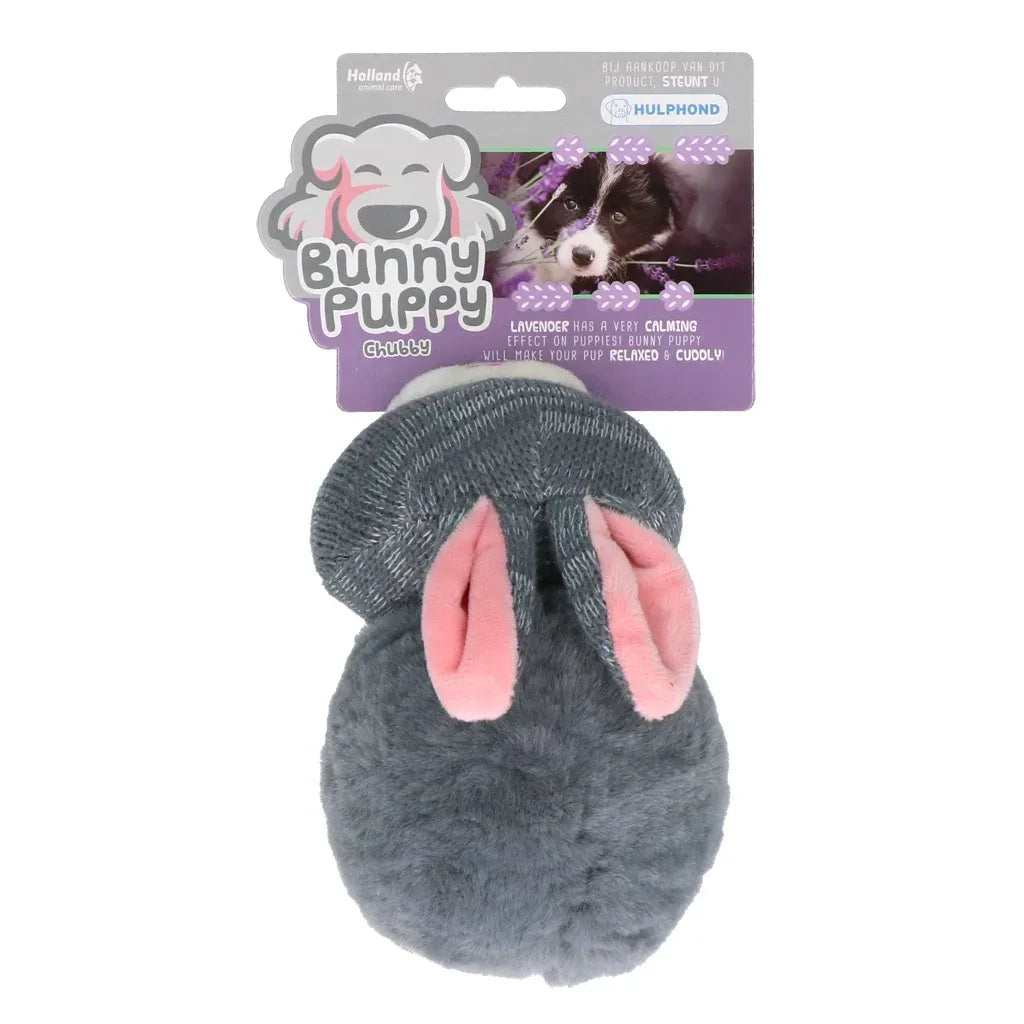 Bunny Puppy Chubby
