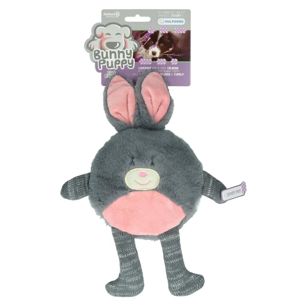 Bunny Puppy Flat Rabbit