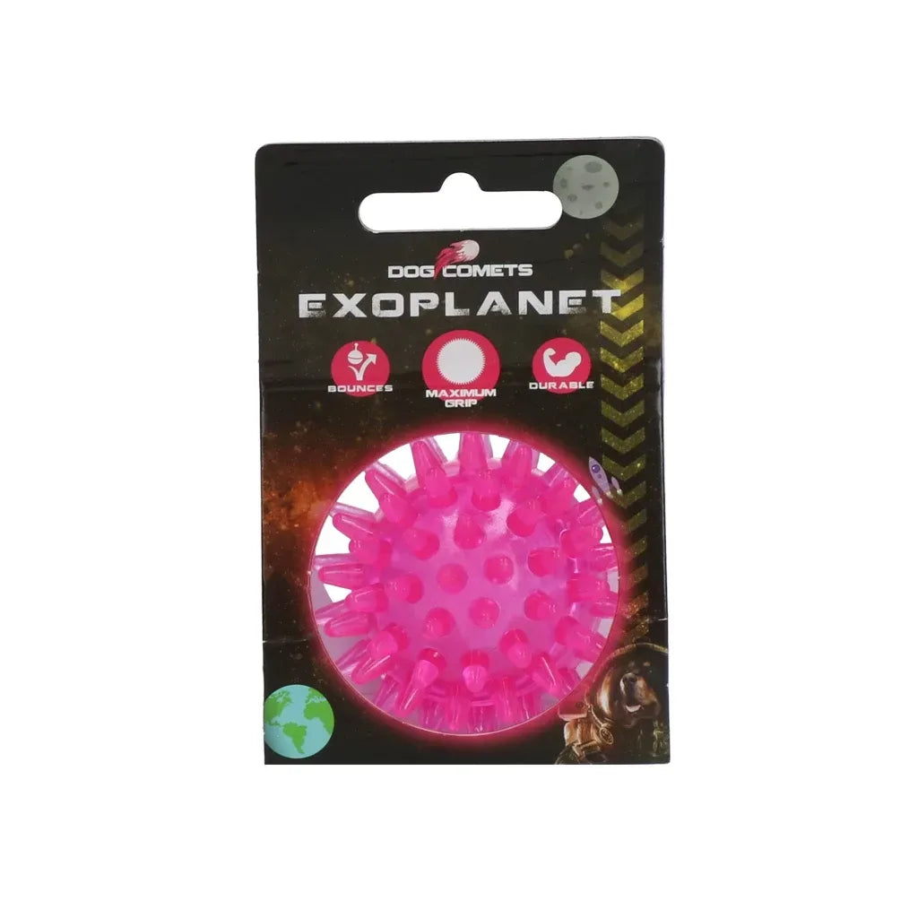 Dog Comets Exoplanet Spiky Ball S Orange