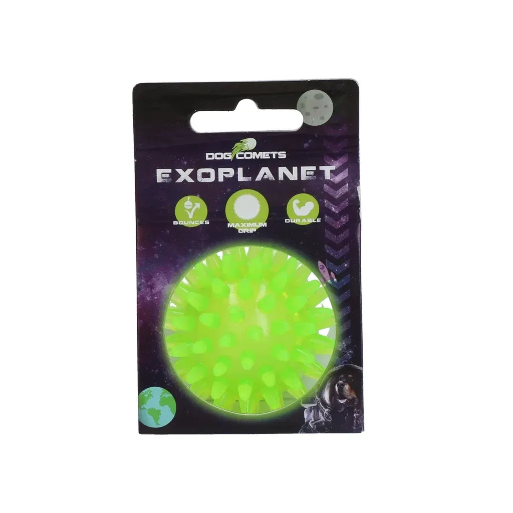 Dog Comets Exoplanet Spiky Ball S Orange
