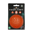 Dog Comets Exoplanet Spiky Ball M Orange