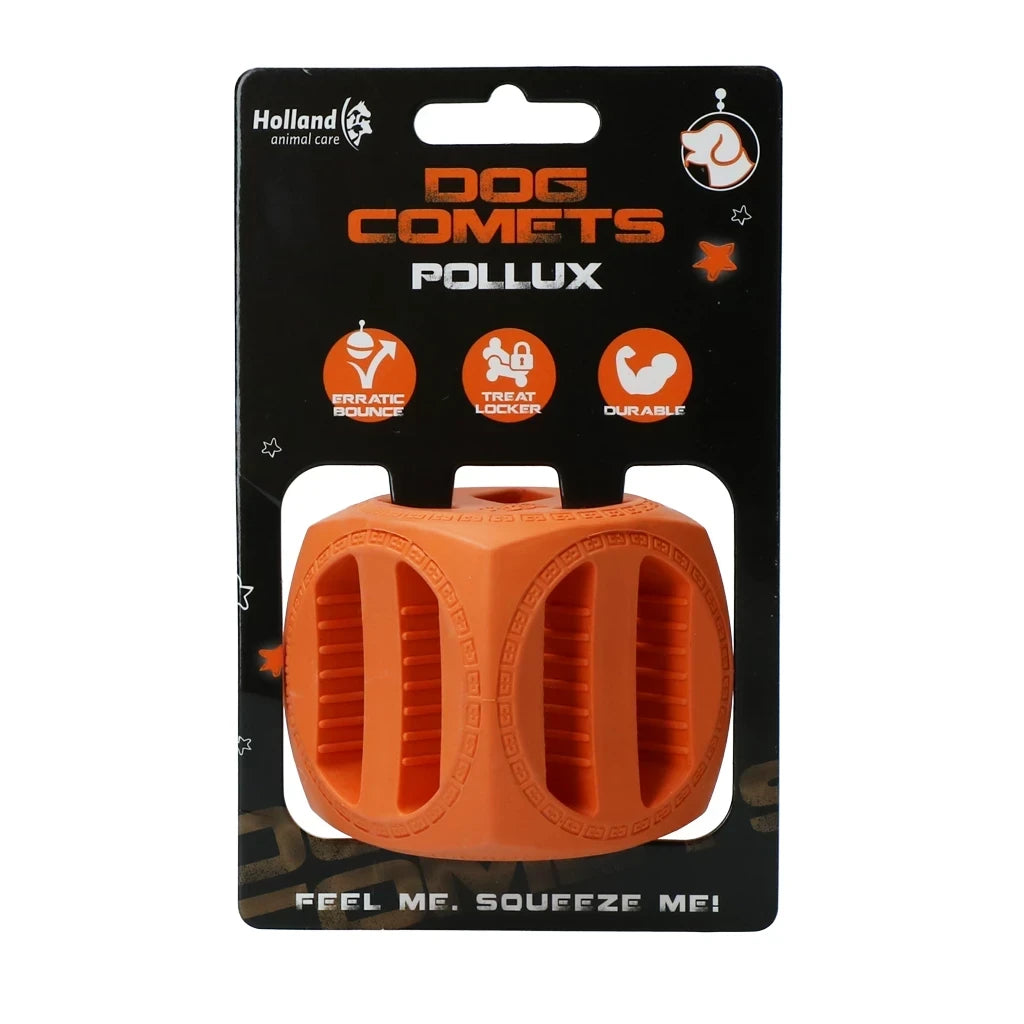 Dog Comets Pollux Orange