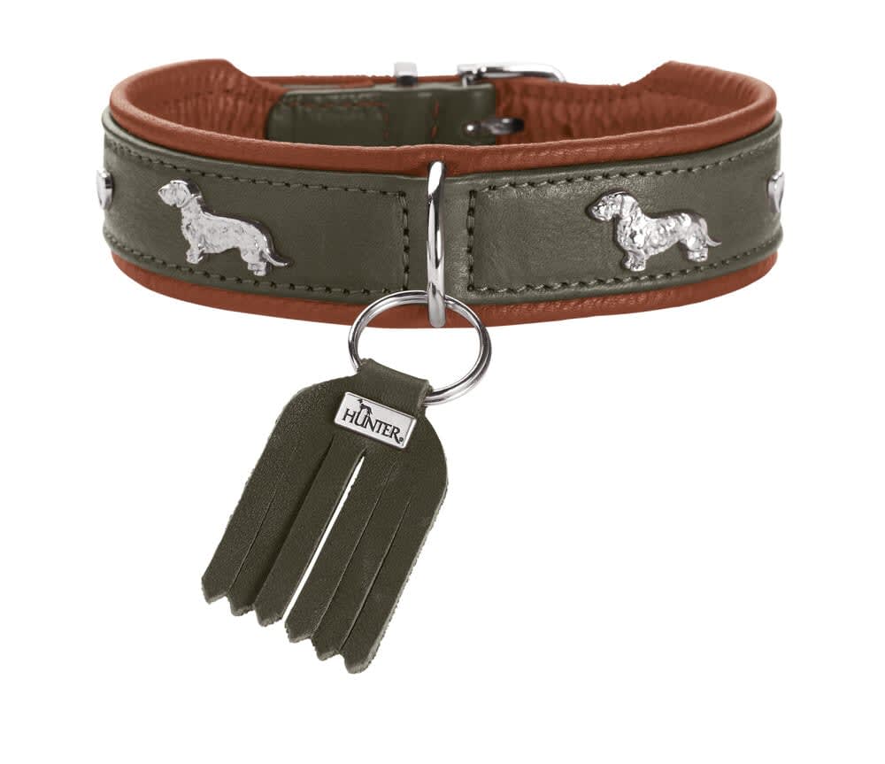 Dachshund Collar München 42/S Cowleather green/cognac