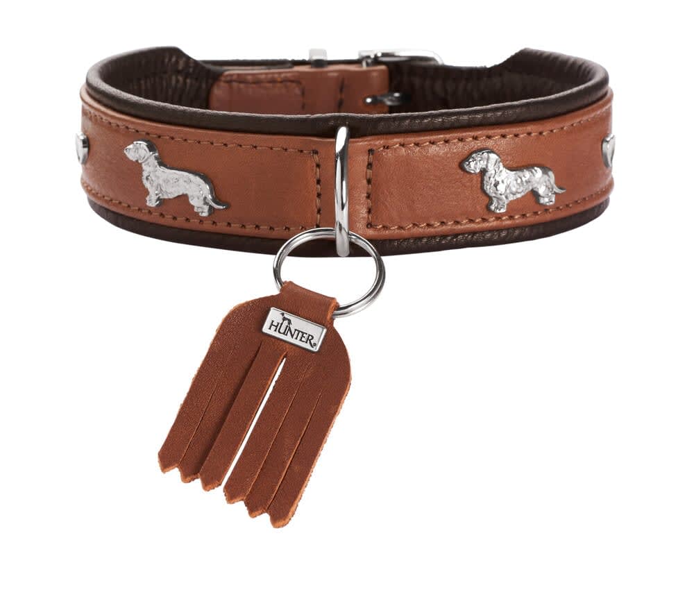 Dachshund Collar München 42/S Cowleather cognac/black