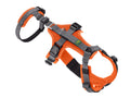 Harness Safety Maldon Mesh orange/grey