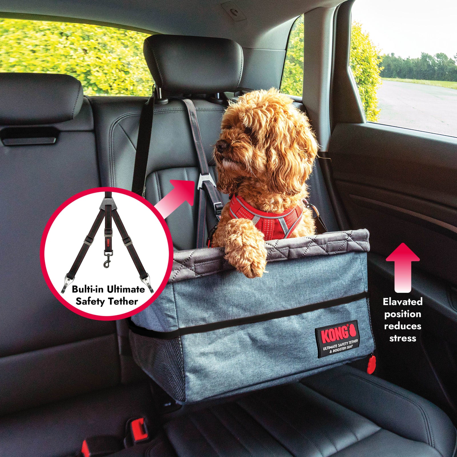 KONG Ultimate Booster Seat & Tether