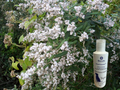 MediCleanse Pote og Sår Krem Hund (Allergi Hemmende) 100ml
