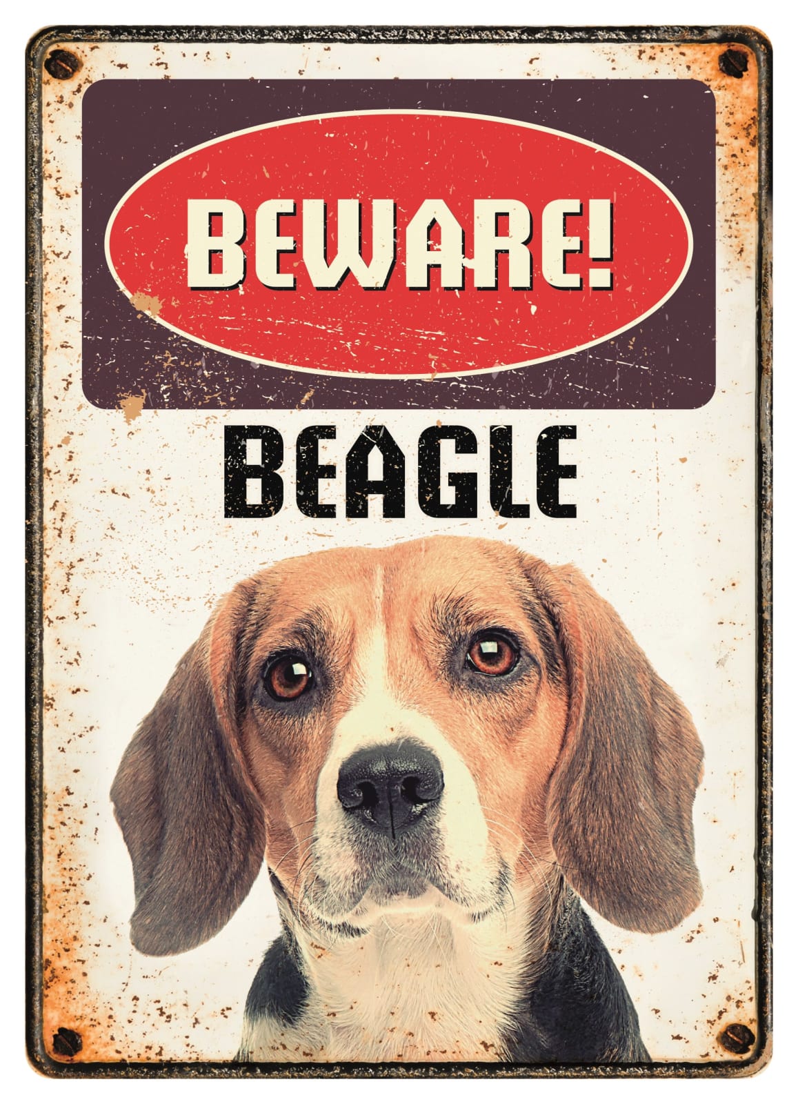 Metallskilt Beware 21x14,8cm