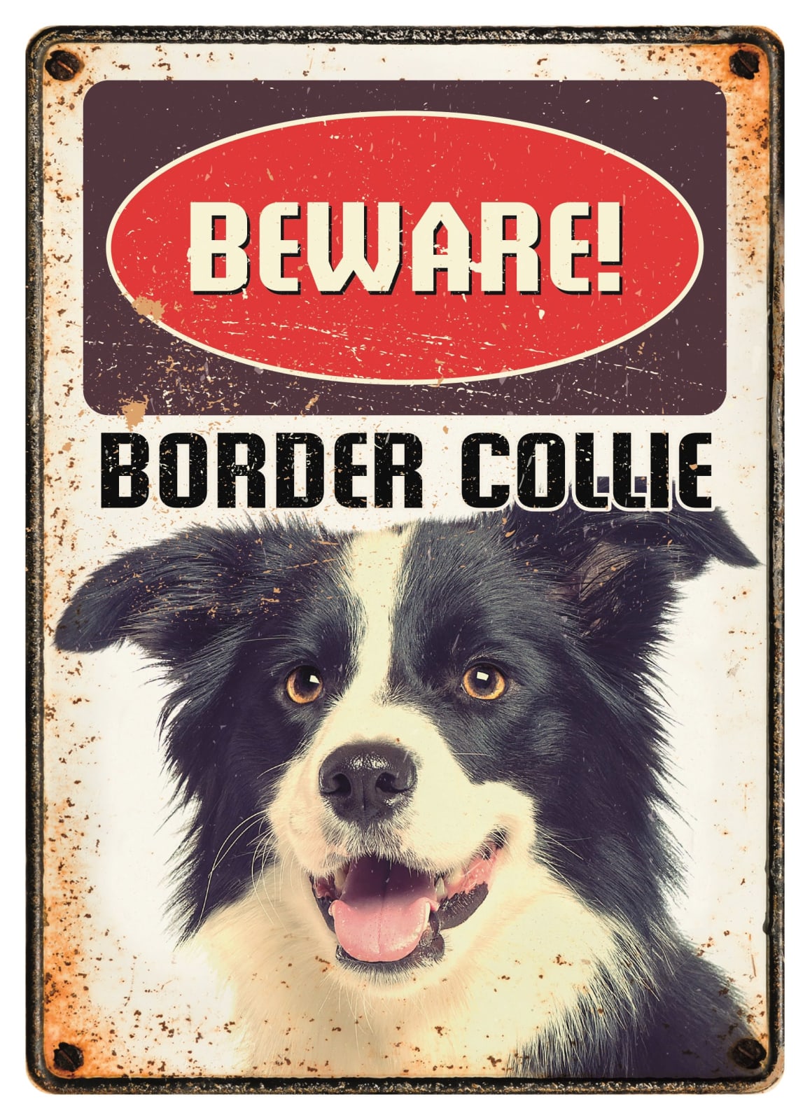 Metallskilt Beware Border Collie 21x14,8cm