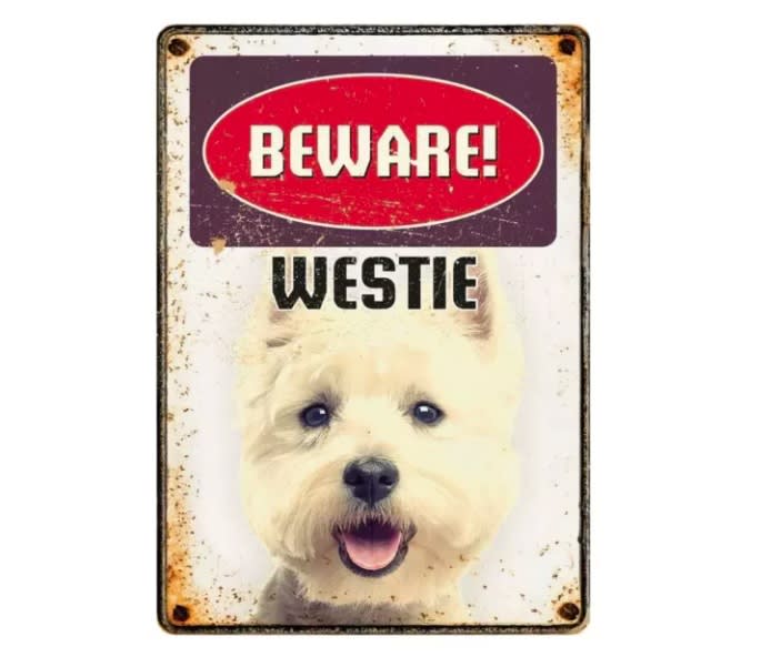 Metallskilt Beware Westie 21x14,8cm