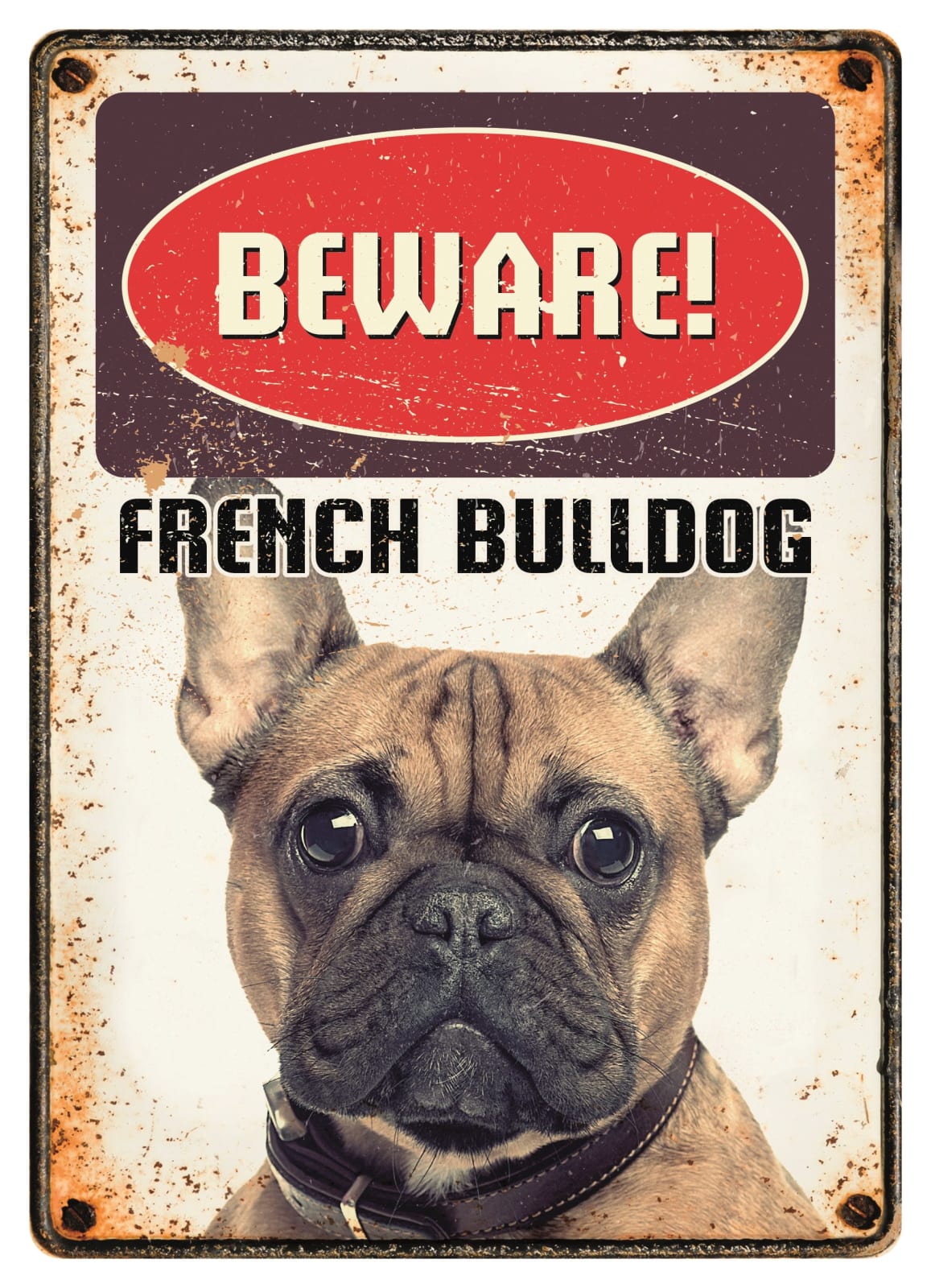 Metallskilt Beware Fransk Bulldog 21x14,8cm