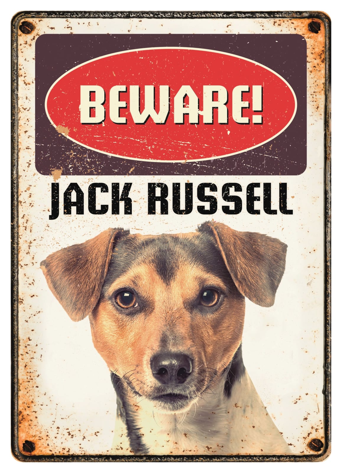 Metallskilt Beware Jack Russel 21x14,8cm