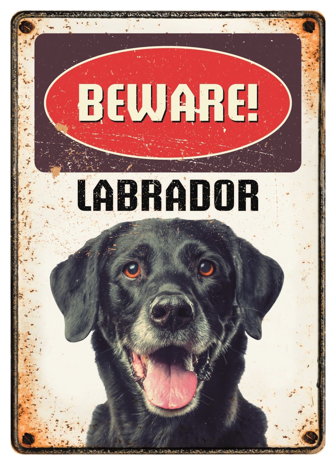 Metallskilt Beware Labrador Sort 21x14,8cm
