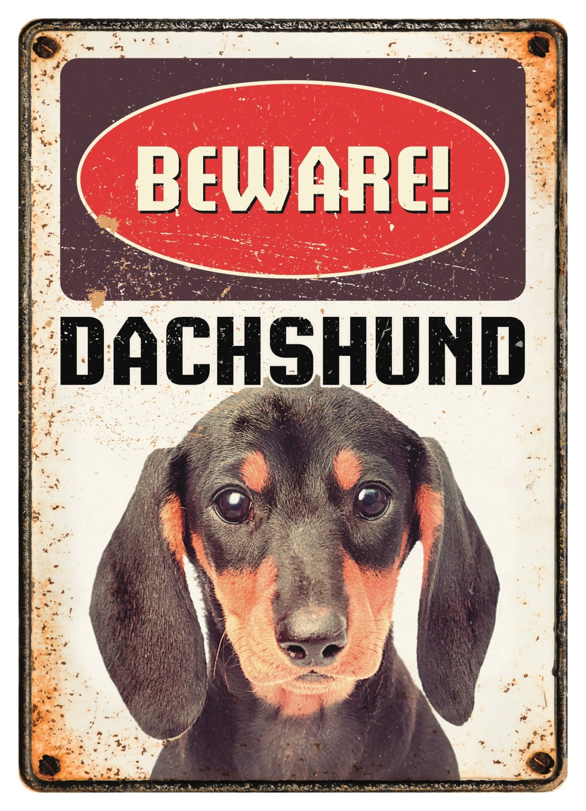 Metallskilt Beware Dachs 21x14,8cm