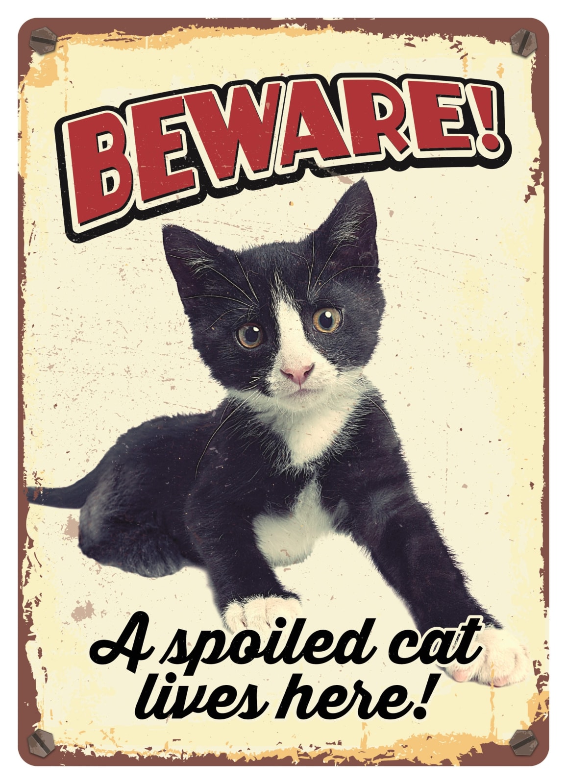 Metallskilt Beware Spoiled Cat 21x14,8cm