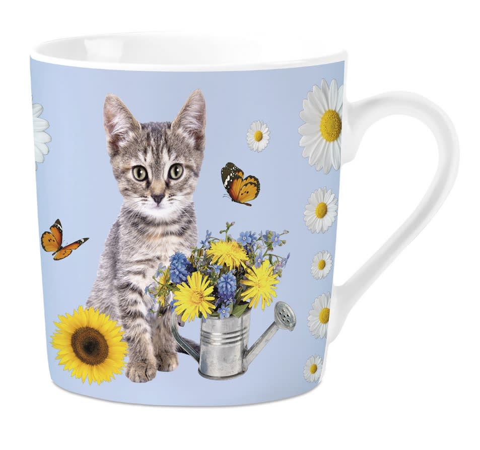 Krus Grå Kattunge 240ml