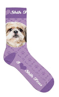 Sokker Shih Tzu 39-44