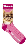 Sokker Chihuahua 39-44