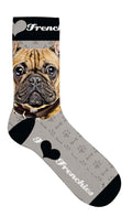 Sokker Fransk Bulldog 39-44