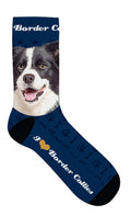 Sokker Border Collie 33-38