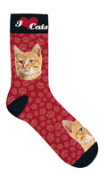 Sokker Oransje Katt 39-44