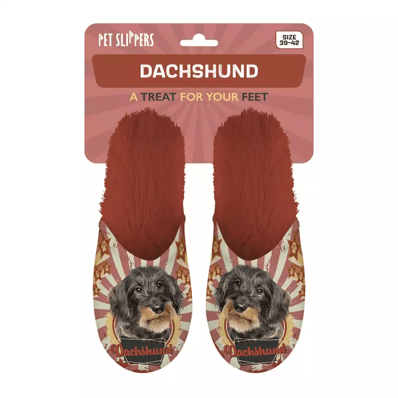 Tøffel Dachs 39-42