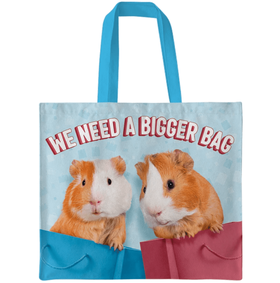 Handlenett Canvas "We need a bigger bag" Marsvin 42x48cm