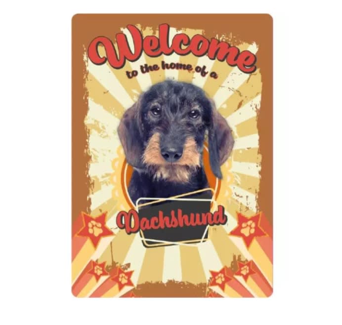 Metallskilt Welcome Home Dachshund 21x14,8cm
