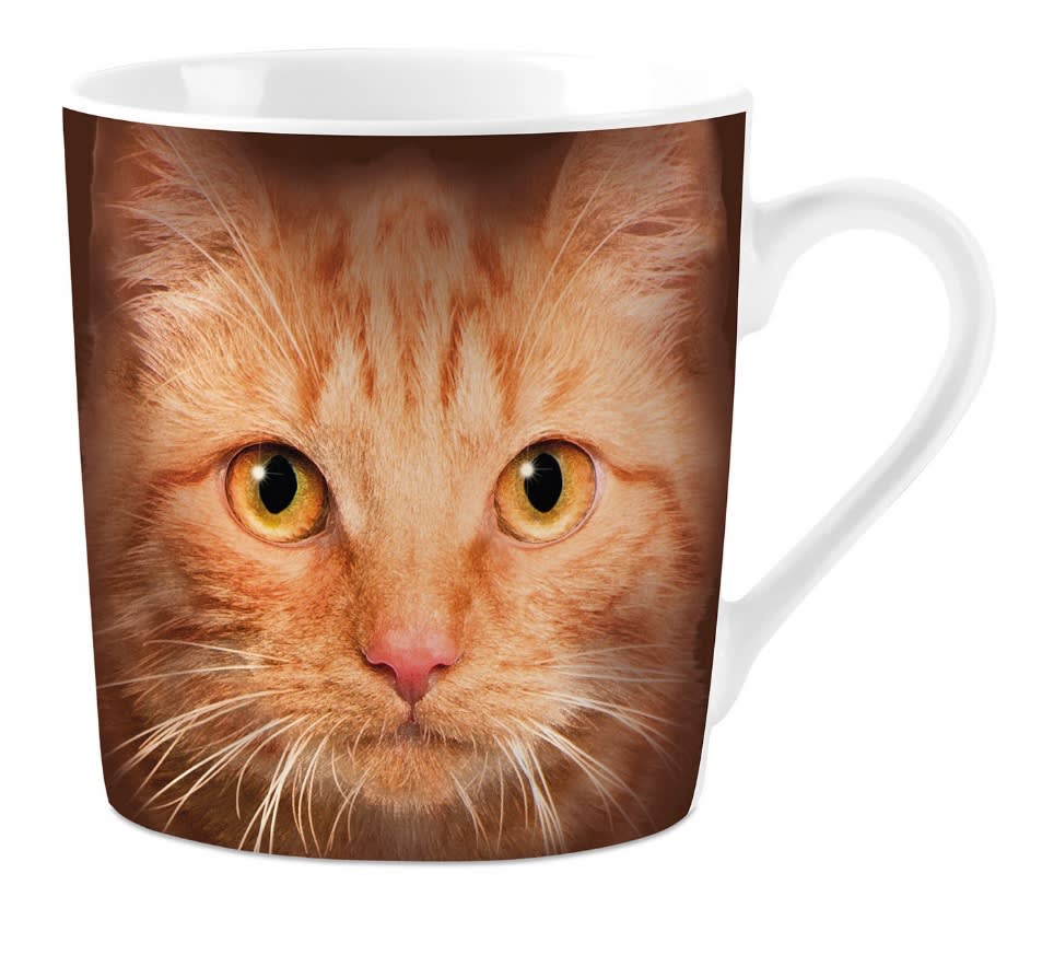 Krus Oransje Katteøyer 240ml