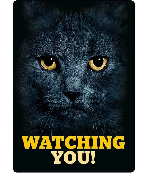 Metallskilt Watching You! 21x14,8cm