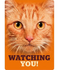 Metallskilt Watching You! Oransje Katt 21x14,8cm