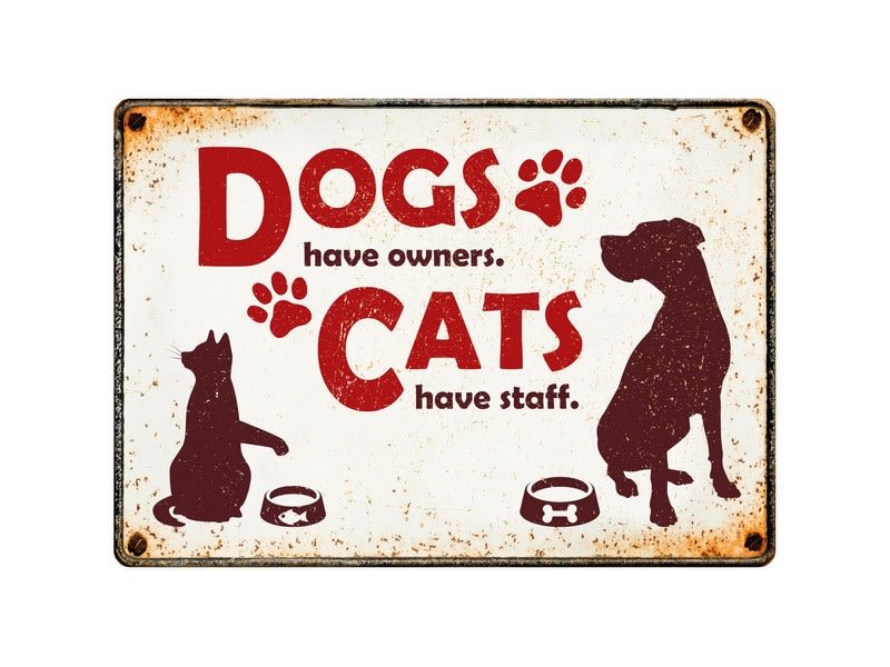 Metallskilt Dogs Have Owners. Cats Have Staff. 21x14,8cm