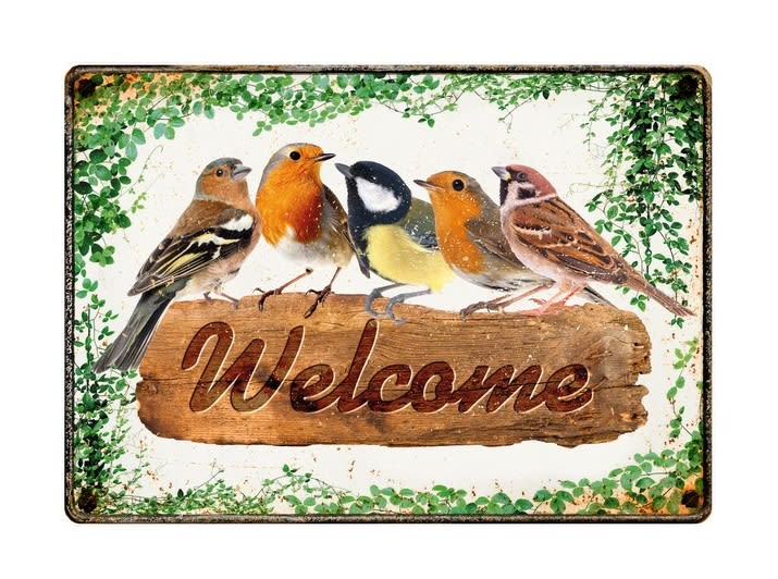 Metallskilt Welcome Fugler 21x14,8cm