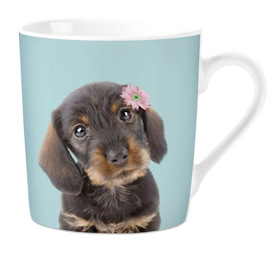 Krus Dachs Valp 240ml