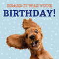 Kort Funny Dog Heard it was your Birthday! 13,7x13,7cm