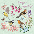 Kort Wishing you a Happy Birthday Fugler 13,7x13,7cm