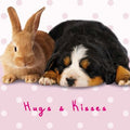 Kort Hugs & Kisses 13,7x13,7cm
