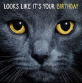 Kort Looks Like It`s Your Birthday 13,7x13,7cm