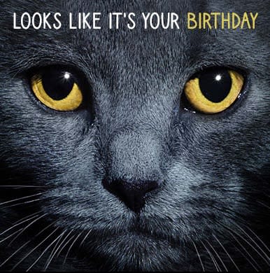 Kort Looks Like It`s Your Birthday 13,7x13,7cm