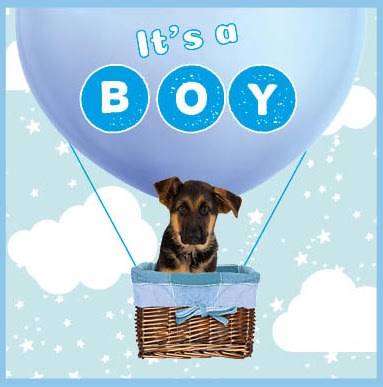 Kort It`s a Boy 13,7x13,7cm