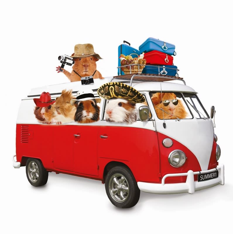 Kort Summer Holiday 13,7x13,7cm